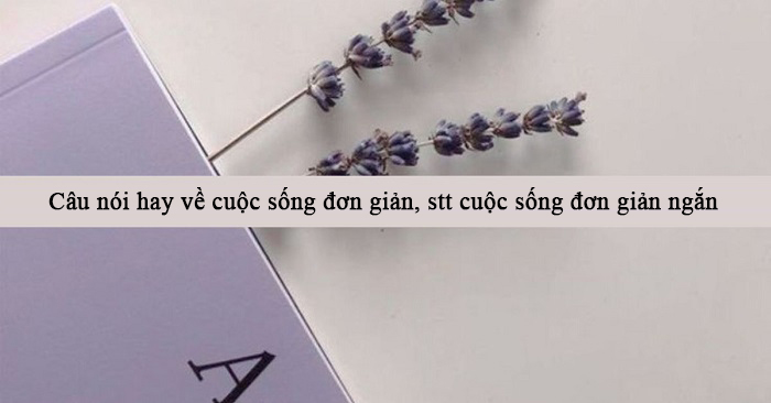 Câu nói hay về cuộc sống đơn giản, stt cuộc sống đơn giản ngắn