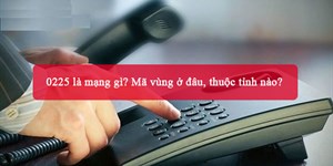 0225 là mạng gì? Mã vùng ở đâu, thuộc tỉnh nào?