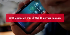 0222 là mạng gì? Đầu số 0222 là mã vùng tỉnh nào?