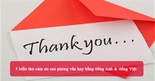 5 Mẫu thư cảm ơn sau phỏng vấn hay bằng tiếng Anh & tiếng Việt