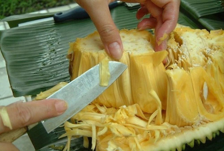 Sơ chế mít