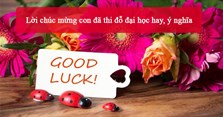 Lời chúc mừng con đã thi đỗ đại học hay, ý nghĩa