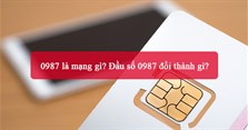 0987 là mạng gì? Đầu số 0987 đổi thành gì?