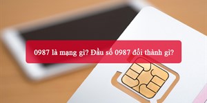 0987 là mạng gì? Đầu số 0987 đổi thành gì?