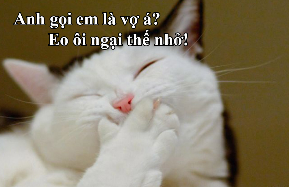 Hình ảnh thả thính hài hước