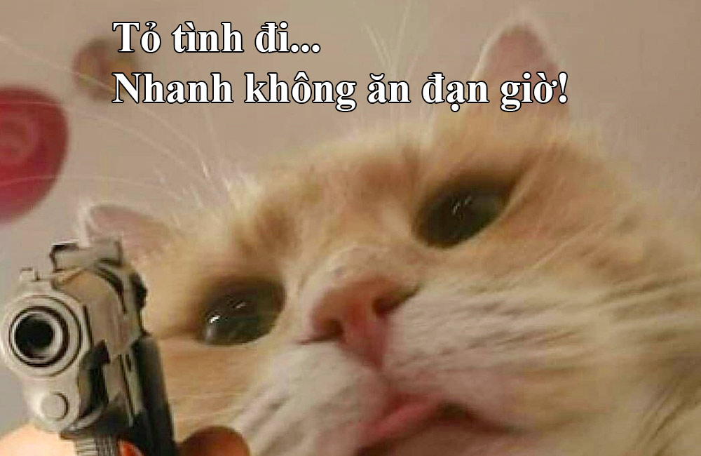 Hình ảnh thả thính hài hước