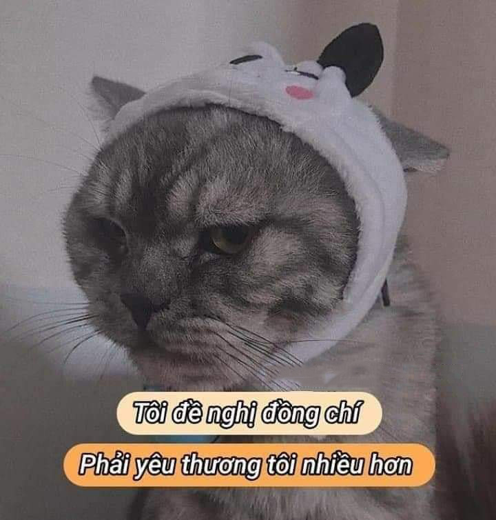 Hình ảnh thả thính hài hước