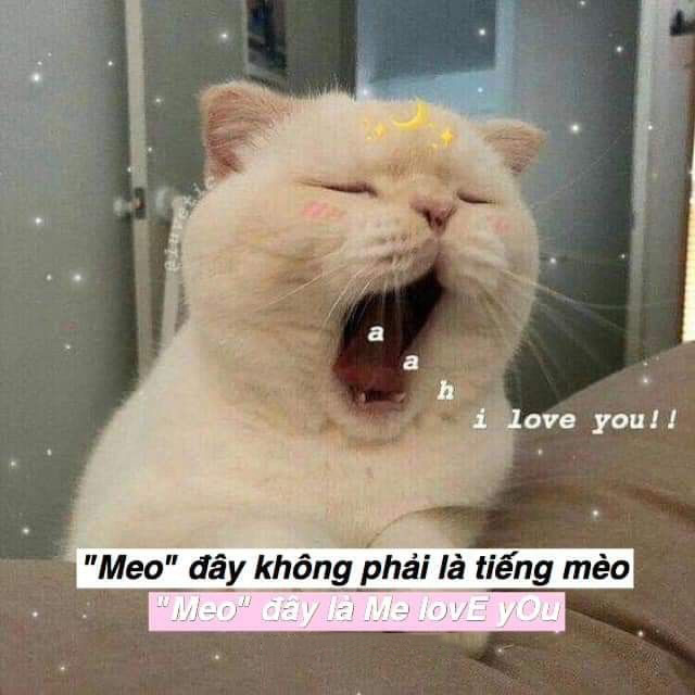 Hình ảnh thả thính cute