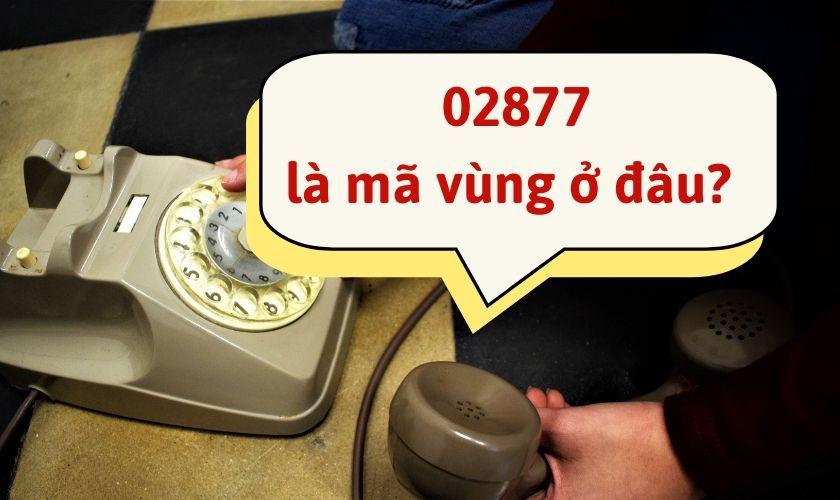 Tìm hiểu mã vùng 02877 là ở đâu