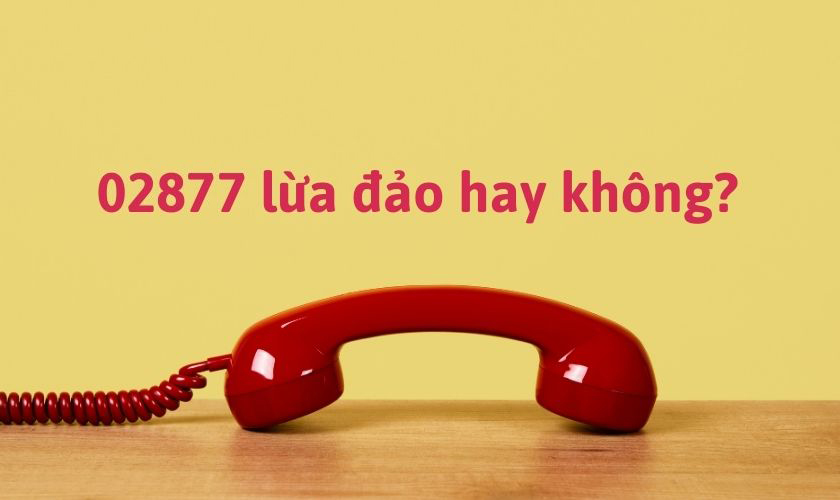 Tìm hiểu đầu số 02877 có phải lừa đảo không
