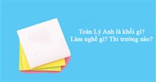 Toán Lý Anh là khối gì? Làm nghề gì? Thi trường nào?