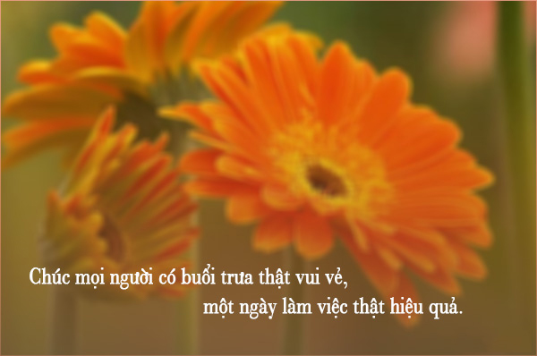 Những lời chúc buổi trưa vui vẻ dành cho bạn bè, đồng nghiệp