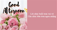 Lời chúc buổi trưa vui vẻ, câu chúc bữa trưa ngon miệng