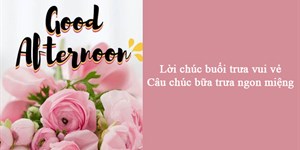 Lời chúc buổi trưa vui vẻ, câu chúc bữa trưa ngon miệng