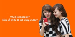 0522 là mạng gì? Đầu số 0522 là mã vùng ở đâu?