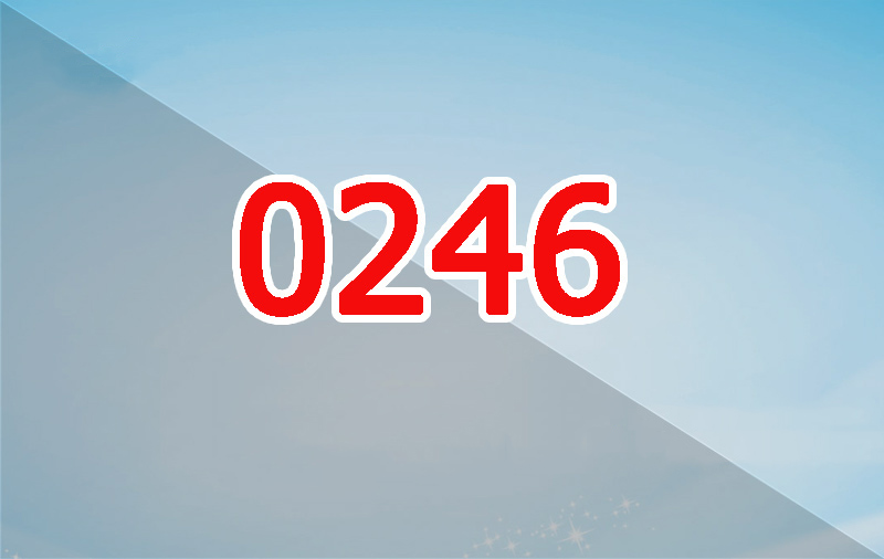 Tìm hiểu 0246 là mạng gì