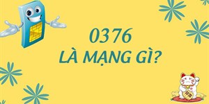 0376 là mạng gì? Đầu số 0376 đổi từ đầu số nào?