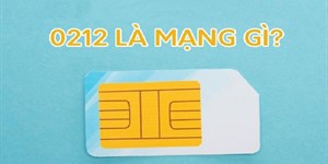 0212 là mạng gì? 0212 là mã vùng ở đâu, tỉnh nào?