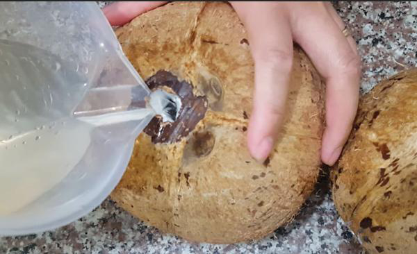 Cách ngâm rượu dừa