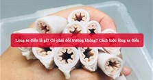 Lòng se điếu là gì? Có phải dồi trường không? Cách luộc lòng se điếu