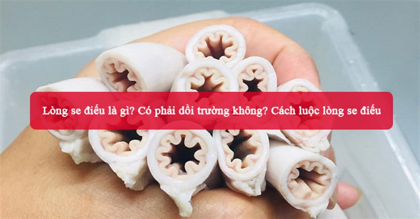 Lòng se điếu là gì? Có phải dồi trường không? Cách luộc lòng se điếu