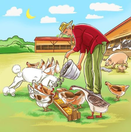 Tìm điểm khác thường trong hình.