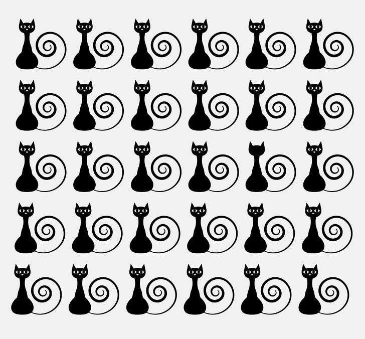 Tìm điểm khác biệt trong hình.