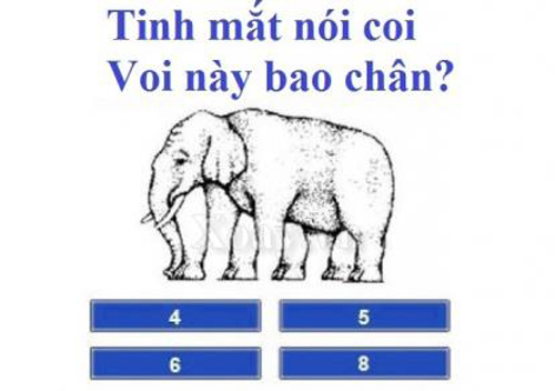 Nhìn hình đoán đáp án.