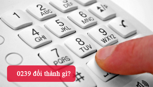 Tìm hiểu 0239 đổi thành gì
