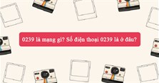 0239 là mạng gì? Số điện thoại 0239 là ở đâu?