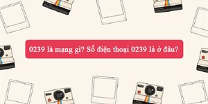 0239 là mạng gì? Số điện thoại 0239 là ở đâu?