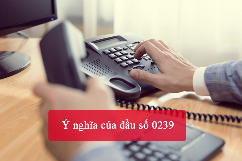Ý nghĩa của đầu số 0239