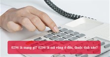 0296 là mạng gì? 0296 là mã vùng ở đâu, thuộc tỉnh nào?