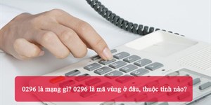 0296 là mạng gì? 0296 là mã vùng ở đâu, thuộc tỉnh nào?