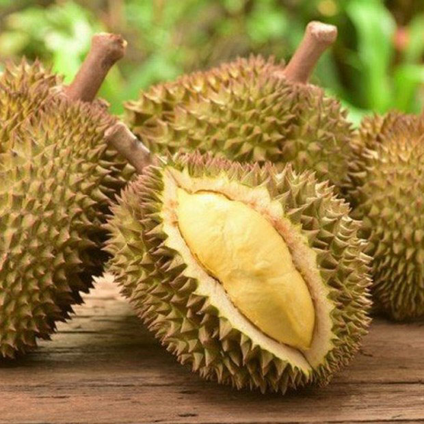 Cách nhận biết sầu riêng chín tự nhiên