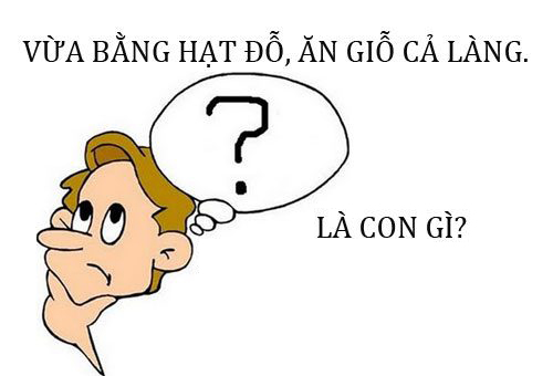 Câu đố dân gian vui, hài hước