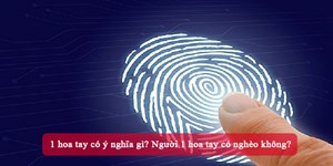 1 hoa tay có ý nghĩa gì? Người 1 hoa tay có nghèo không?