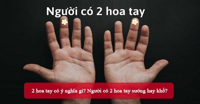 2 hoa tay có ý nghĩa gì? Người có 2 hoa tay sướng hay khổ?