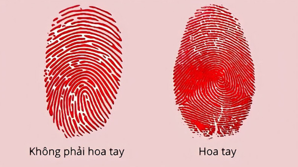 Tìm hiểu hoa tay là gì