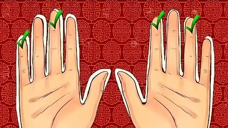 Tìm hiểu 4 hoa tay có ý nghĩa gì