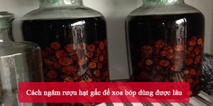 Cách ngâm rượu hạt gấc để xoa bóp dùng được lâu