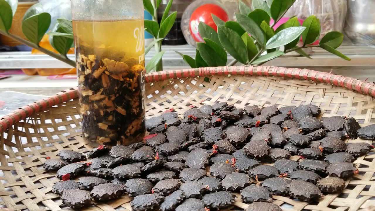 Thành quả rượu hạt gấc xoa bóp