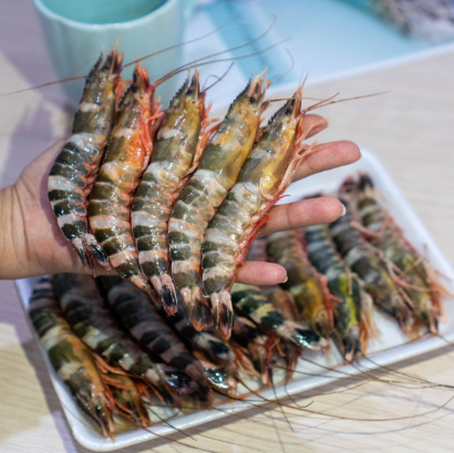 Hình ảnh tôm sắt