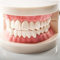 Con người có bao nhiêu cái răng? Tên và vị trí các loại răng