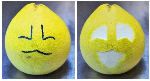 Cách tạo hình chú thỏ từ quả bưởi