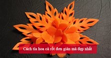 3 Cách tỉa hoa cà rốt đơn giản mà đẹp nhất