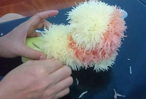 Tạo lông cho chó bưởi