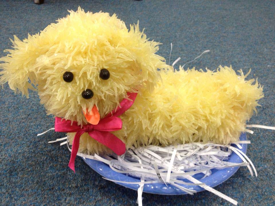 Tìm hiểu chó bưởi là gì