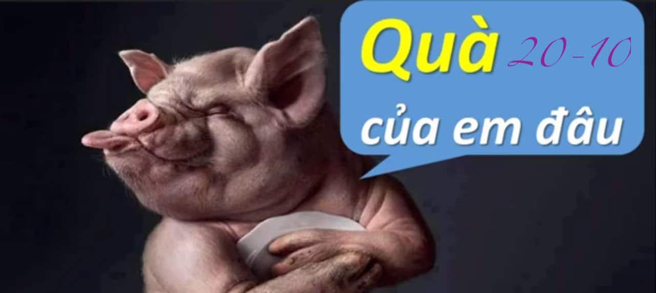 Ảnh chế đồi quà 20 tháng 10