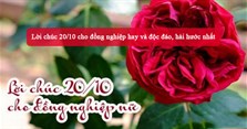 Lời chúc 20/10 cho đồng nghiệp hay và độc đáo, hài hước nhất